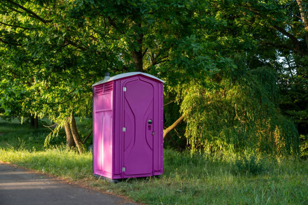 Best Porta potty rental for festivals  in Mmaduke, AR